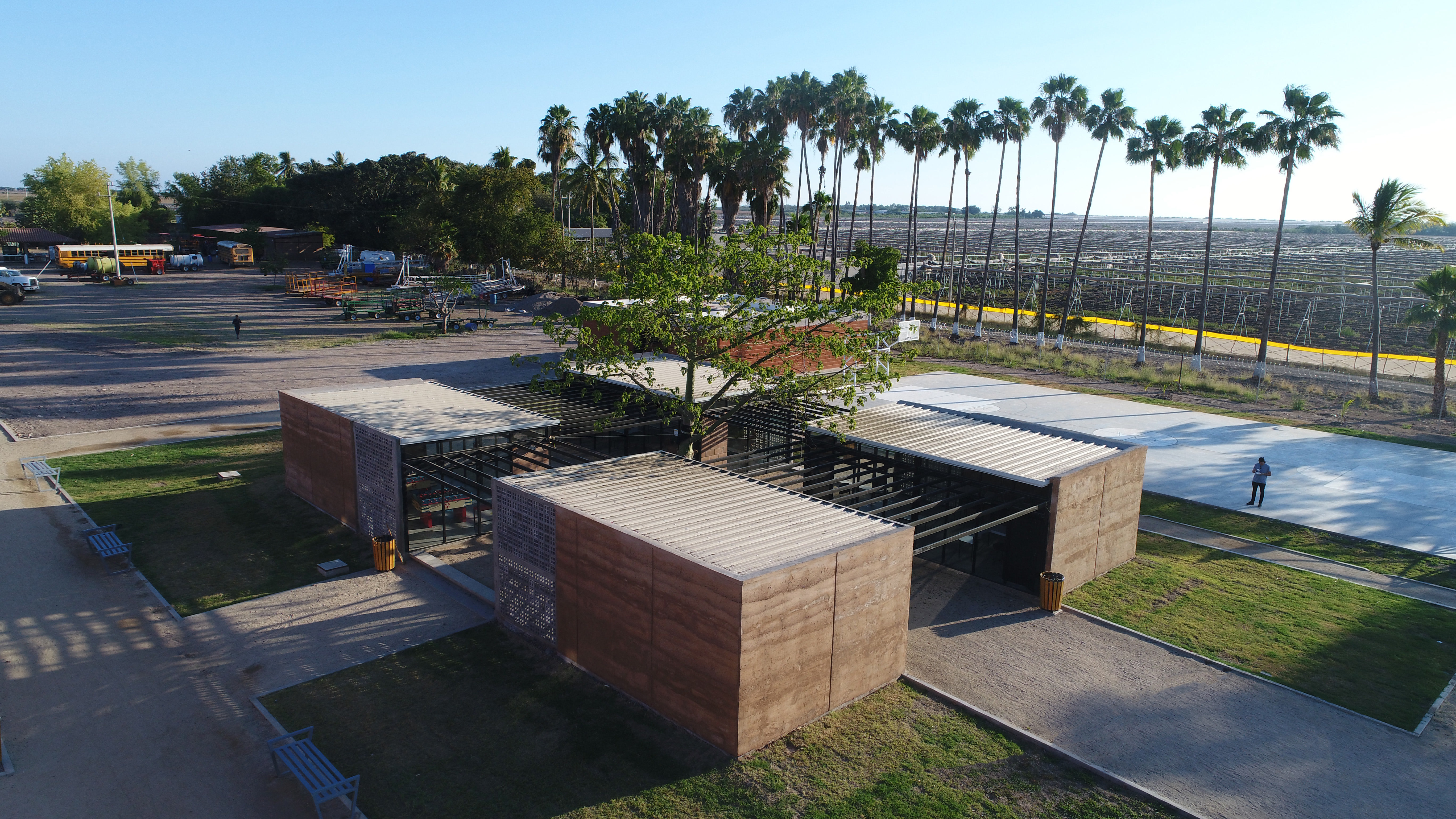 Four rammed-earth pavilions around a central tree, linked by dark metal pergolas.